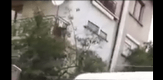 Снимка: скриийншот