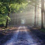 Илюстративна снимка: Пиксабей