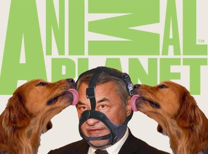 Анимал Планет и Валерката