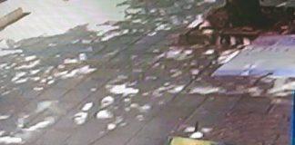 Снимка: Георги Симеонов