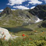 Близнака. Снимка: Wikimedia Commons, Красимира Дечева