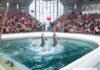 Снимка: Фейсбук, Делфинариум Варна/Dolphinarium Varna