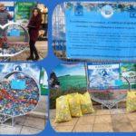 Капачки. Снимка: Фейсбук, Аз Вярвам и помагам