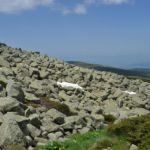 Илюстративна снимка