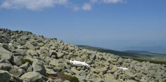 Илюстративна снимка