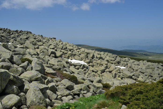 Илюстративна снимка