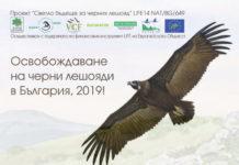 Афиш. Снимка: Зелени балкани