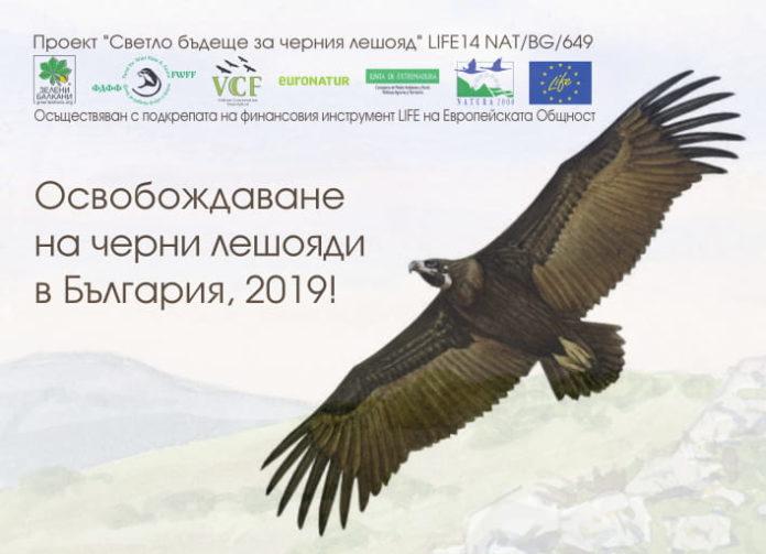 Афиш. Снимка: Зелени балкани