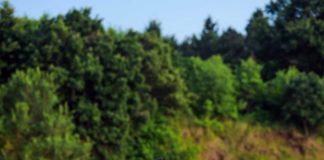 Снимка: Личен архив