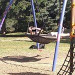 Издирваният. Снимка: Фейсбук, Boby Fen