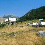 Заслон Спано поле в Пирин планина