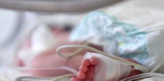 Снимка: АГ Селена