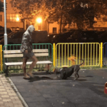 Детска площадка, Варна