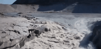 Разтопен лед, Гренландия