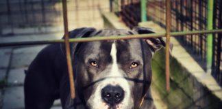 Илюстративна снимка: Пиксабей