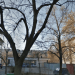 Снимка: Скрийншот от Google Maps