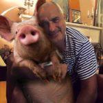 Бойко и чумата