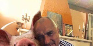 Бойко и чумата