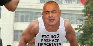 Кой разнася прасетата с чума