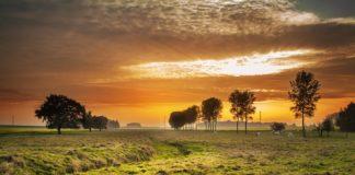 Илюстративна снимка: Пиксабей