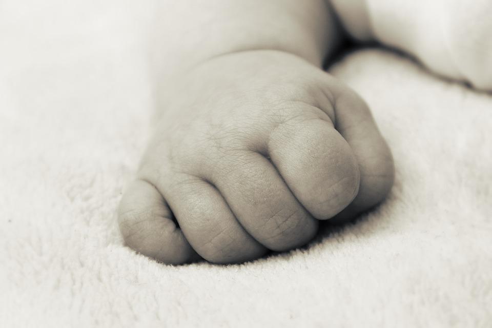 51 са вече децата родени след инвитро процедури с донорски