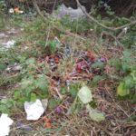 Епруветки с кръв