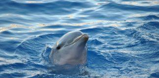 Илюстративна снимка: Пиксабей