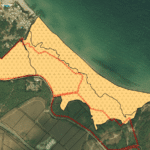 Снимка: Атанас Русев