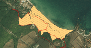 Снимка: Атанас Русев