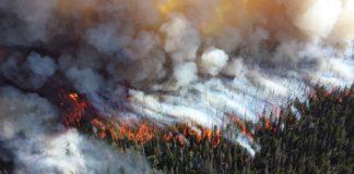 Горски пожар