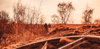 Колело на каруца