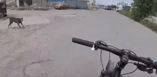 Снимка: Скрийншот