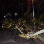 Буря в Кърджали