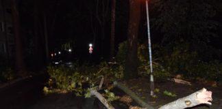 Буря в Кърджали