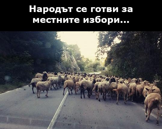 Народът се готви за местните избори