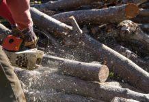 Дърводобив