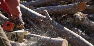 Дърводобив