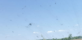 Катастрофа АМ "Тракия"