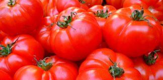 Илюстративна снимка: Пиксабей