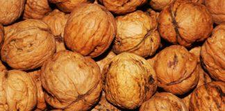 Илюстративна снимка: Пиксабей