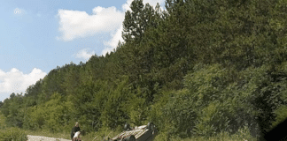 Катастрофа