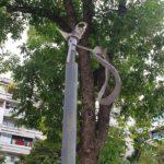 Вандализъм