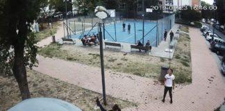 Вандализъм