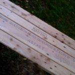 Снимка: Фейсбук, Лилия Велчева