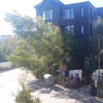 Дървото. Снимка: Фейсбук, Maria Endarova‎