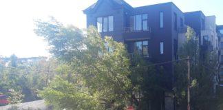 Дървото. Снимка: Фейсбук, Maria Endarova‎