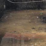 Улицата. Снимка: Фейсбук, Стела Панчева