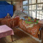 71708081 10206116094058694 9160876697875120128 o