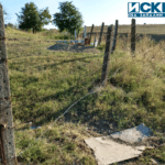 IMG 20190902 173904608 HDR