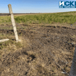 IMG 20190902 174147665 HDR